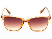 IRUS Uv Protected Sunglasses For Unisex | Size- Medium | Shape- Square | Model- Irs1215C3Sg, Brown