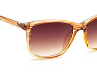 IRUS Uv Protected Sunglasses For Unisex | Size- Medium | Shape- Square | Model- Irs1215C3Sg, Brown