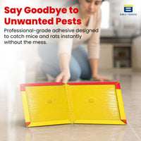Btag Sticky Trap for Insects Pack of 3 Sheets| for Garden & Agriculture to Control Whiteflies, Aphids, Thrips, Jassids| Fly Catcher Insect Catcher Glue Trap.
